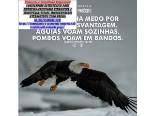 Assessoria Empresarial e Contábil - Londrina Av. Santos Dumont