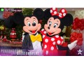 mickey-e-minnie-small-0