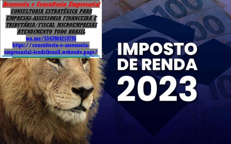 declaracao-do-imposto-de-renda-pessoa-fisica-2025-big-0