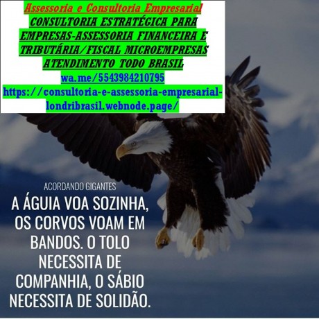 consultoria-para-mei-consult-empresarial-belo-horizont-big-0