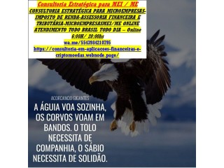 Declaração de Trabalho Autônomo e Profissional Liberal - Rpa /Holerites