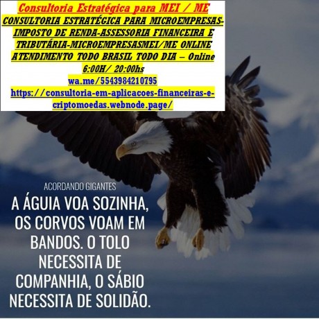 declaracao-de-trabalho-autonomo-e-profissional-liberal-rpa-holerites-big-0