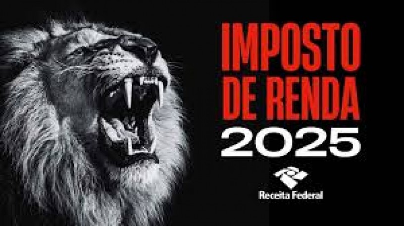 quem-deve-declarar-o-imposto-de-renda-2025-big-0