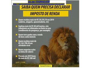 Obrigação Declarar Imposto Renda, Meis, Autonomo, Profissional Liberal