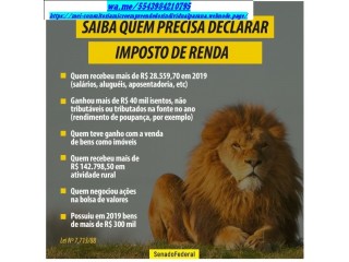 Declarar Imposto Obrigação Renda, Autonomo, Profissional Liberal