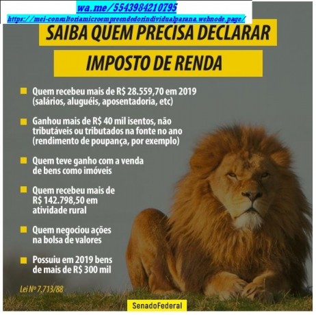 declarar-imposto-obrigacao-renda-autonomo-profissional-liberal-big-0