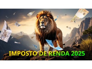 Declaração Pessoa Física Impostorenda 2025 Brasileiros