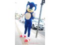 sonic-small-2