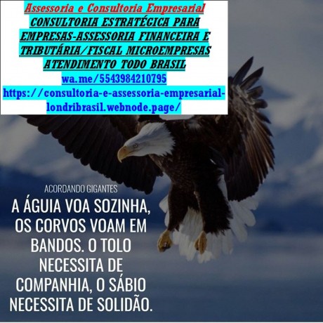 servicos-para-mei-extratos-de-pagamentos-do-dasn-e-declaracao-big-0