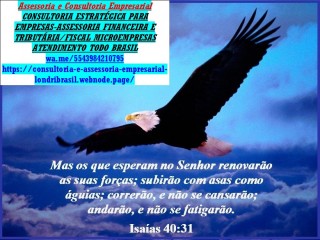Obrigação Imposto Renda, Declarar Autonomo, Profissional Liberal