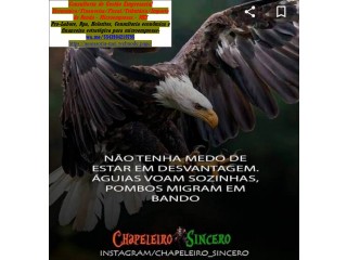 Declaração do Imposto de Renda Pessoa Física(IRPF)2025,Ano Calendário 2024