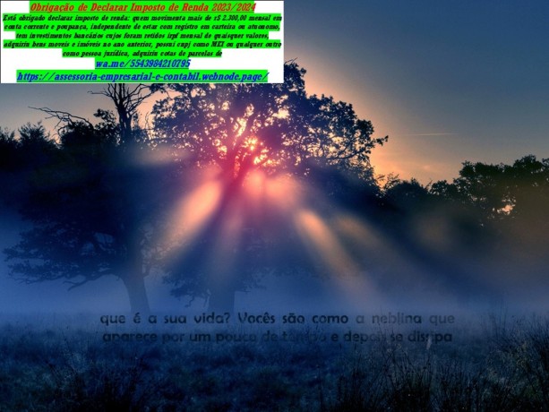 anuncio-divulgacaopropaganda-digital-e-marketing-e-redes-sociais-big-0