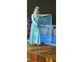 elsa-frozen-1-e-frozen-2-small-1