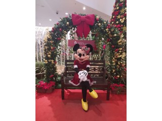 Minnie de Natal