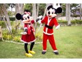 mickey-de-natal-small-0