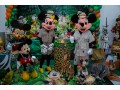 mickey-safari-small-0