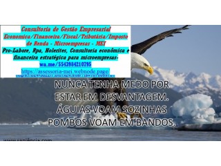 CONSULTORIA E ASSESSORIA PARA PROFISSIONAL LIBERAL