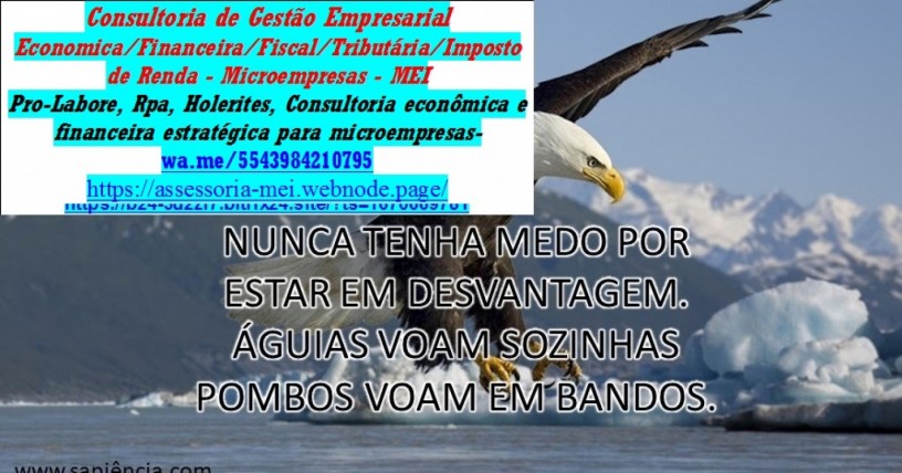 consultoria-e-assessoria-para-profissional-liberal-big-0